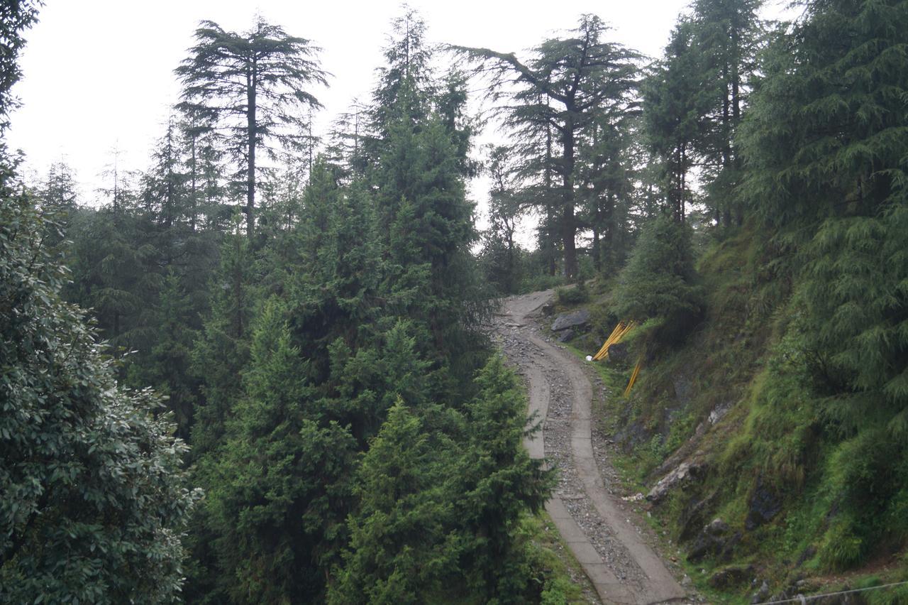 Hotel Shivalay Dharamshala Dış mekan fotoğraf